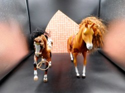 2 horses appaloosa front
